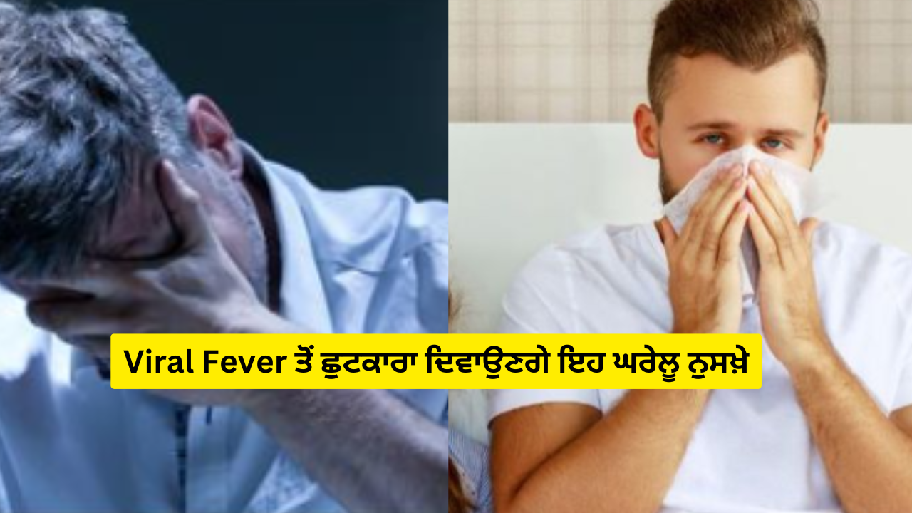 Viral Fever ਤੋਂ ਛੁਟਕਾਰਾ ਦਿਵਾਉਣਗੇ ਇਹ ਘਰੇਲੂ ਨੁਸਖ਼ੇ