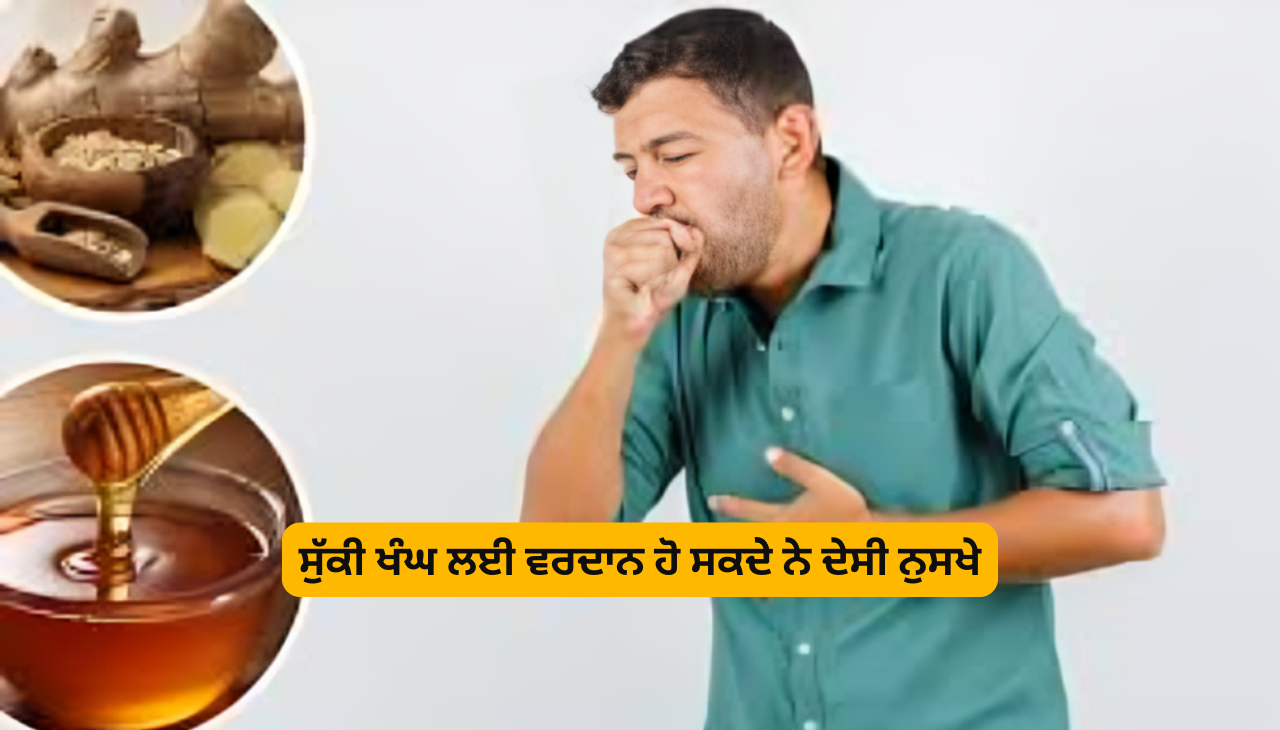 ਸੁੱਕੀ ਖੰਘ ਲਈ ਵਰਦਾਨ ਹੋ ਸਕਦੇੇ ਨੇ ਦੇਸੀ ਨੁਸਖੇ