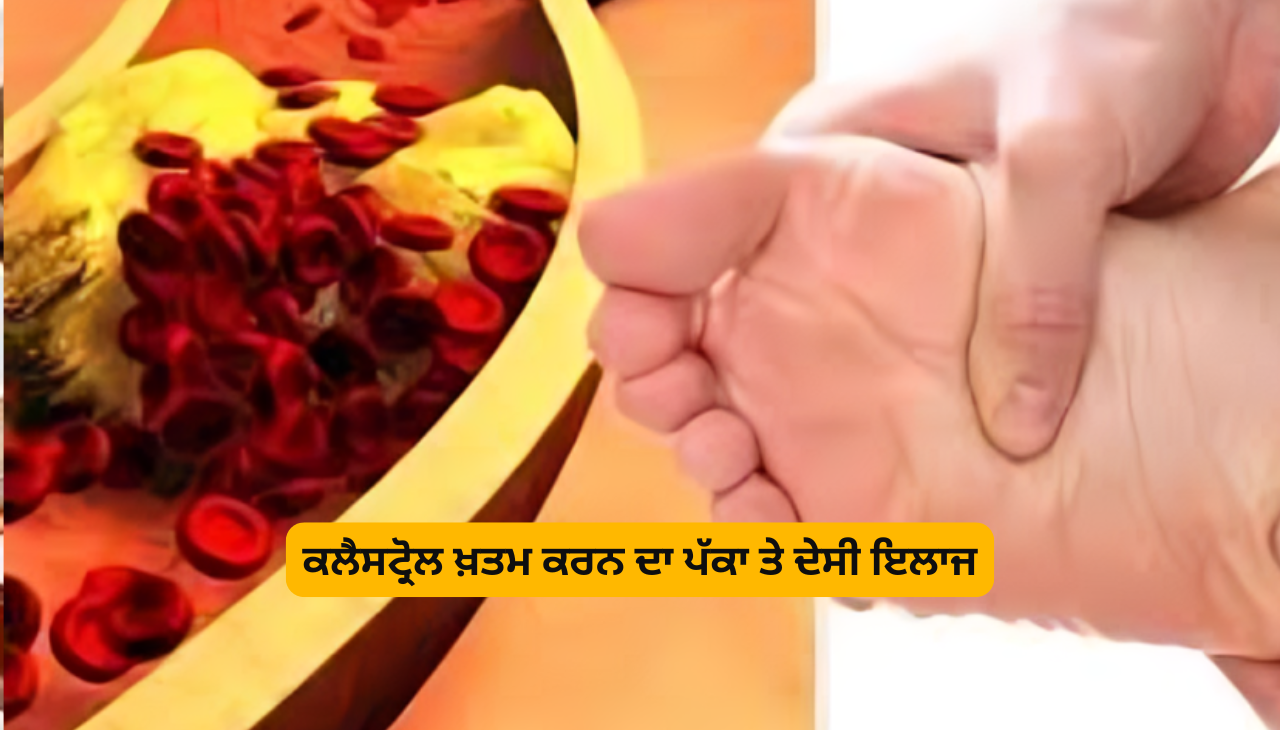 ਕਲੈਸਟ੍ਰੋਲ ਖ਼ਤਮ ਕਰਨ ਦਾ ਪੱਕਾ ਤੇ ਦੇਸੀ ਇਲਾਜ