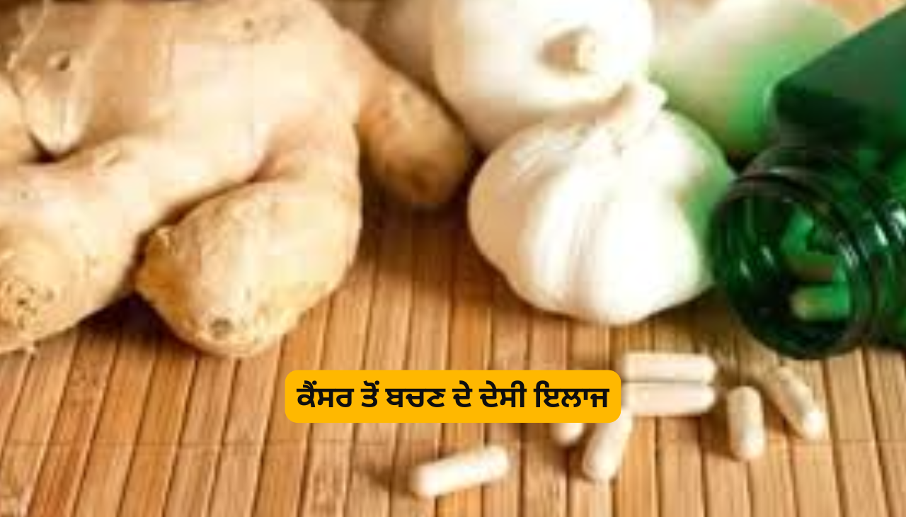 ਕੈਂਸਰ ਤੋਂ ਬਚਣ ਦੇ ਦੇਸੀ ਇਲਾਜ