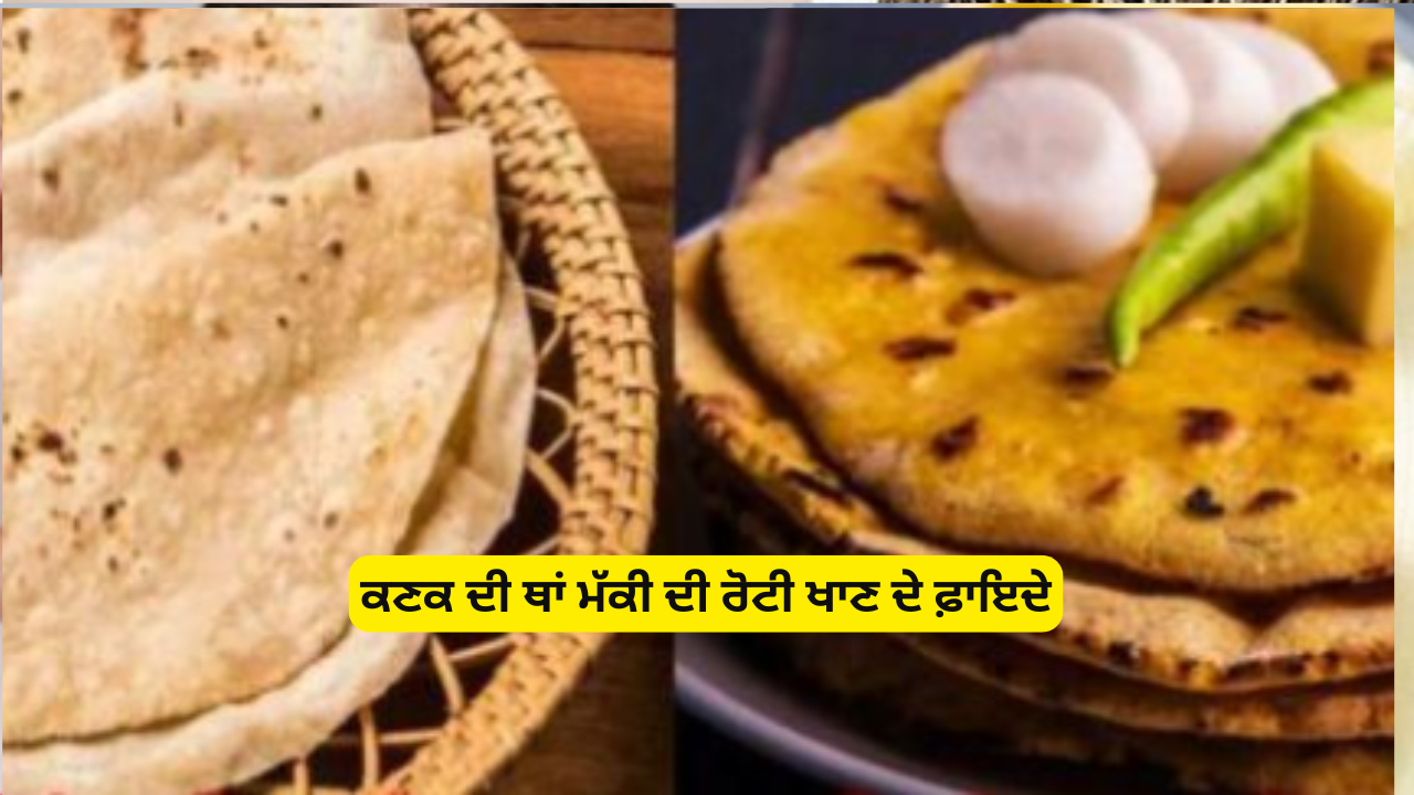 ਕਣਕ ਦੀ ਥਾਂ ਮੱਕੀ ਦੀ ਰੋਟੀ ਖਾਣ ਦੇ ਫ਼ਾਇਦੇ